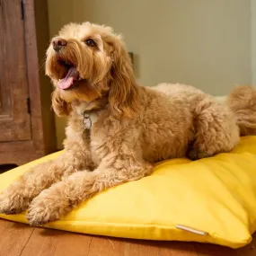 Black Friday - Dog Cushion Bed - Save 35%