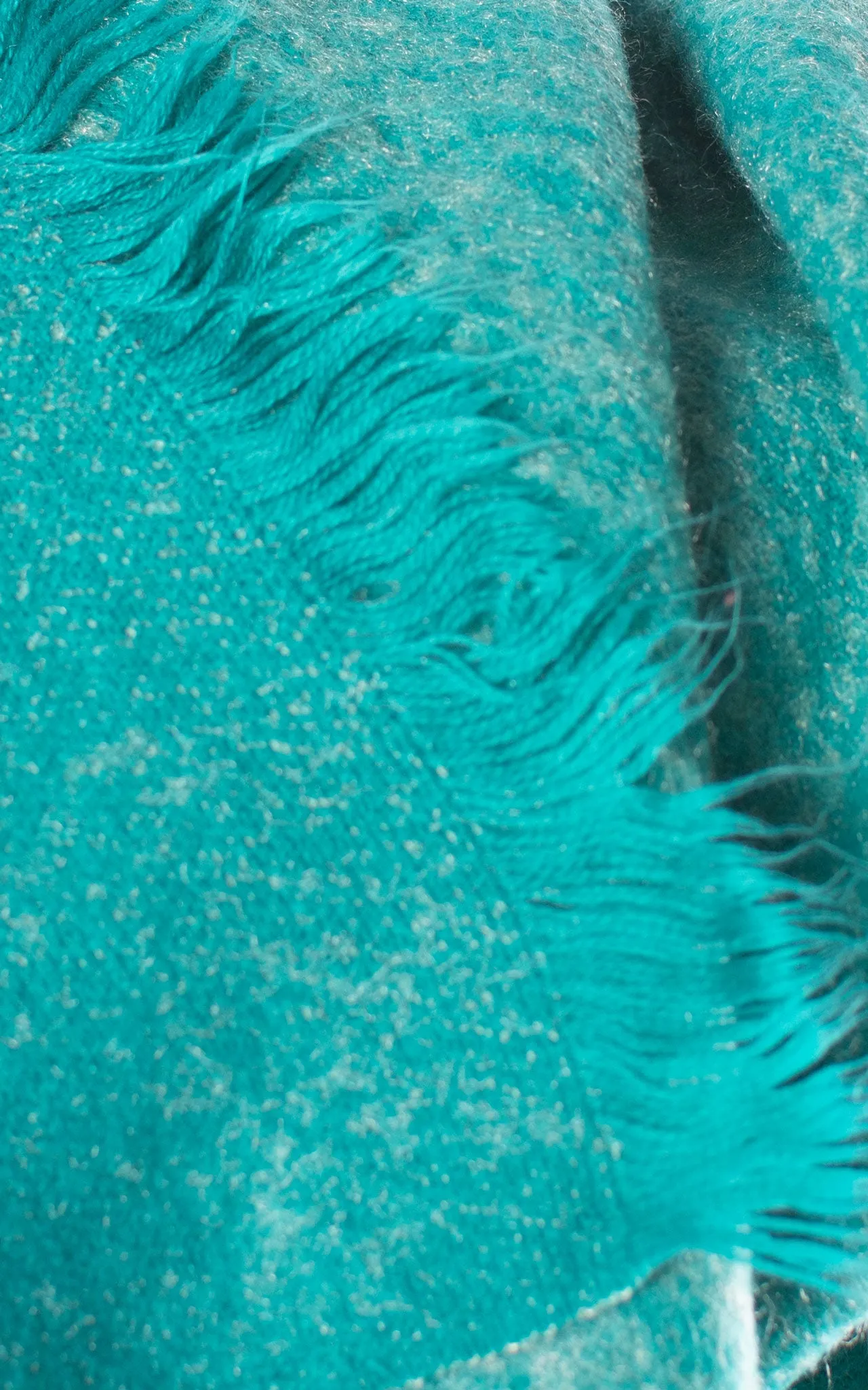 Frayed Edge Scarf | Turquoise