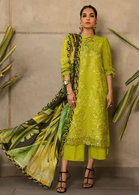 Green Luxury Lawn Suit | Rang Rasiya | Florence Lawn '23 | ARIANA - D7