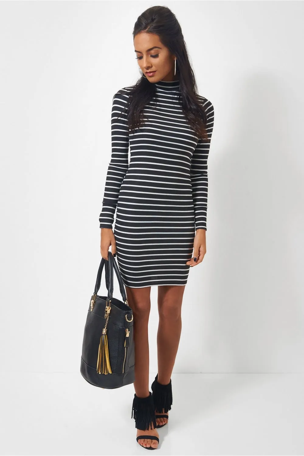 Reva Turtle Neck Stripe Mini Dress