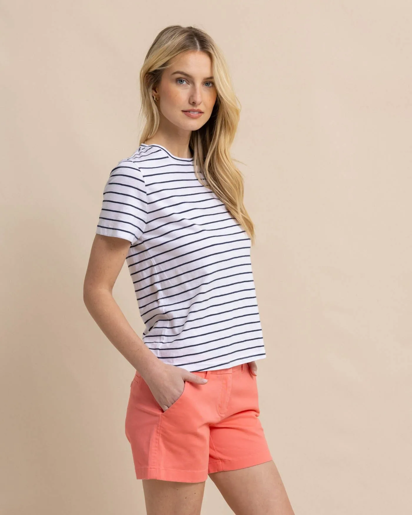 Sun Farer Stripe Crewneck T-Shirt