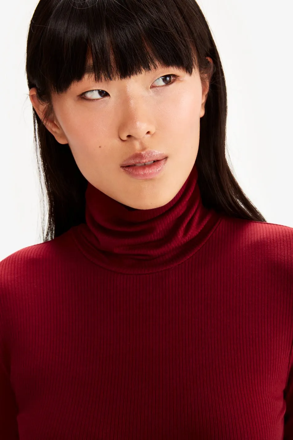 VILLERAY TURTLE NECK DRESS