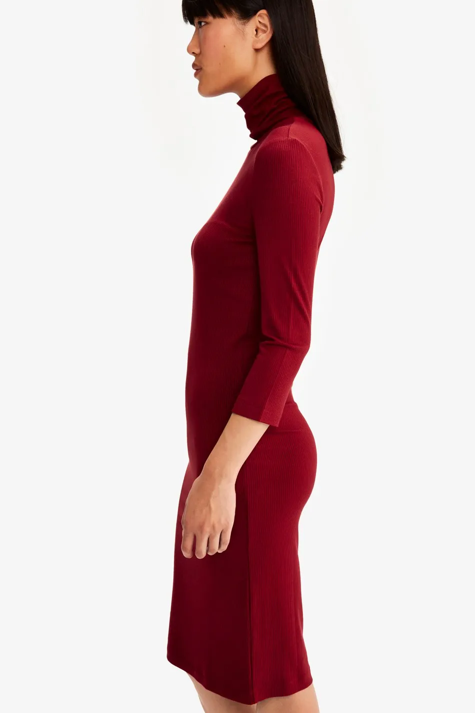 VILLERAY TURTLE NECK DRESS