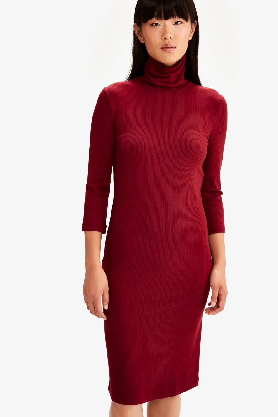 VILLERAY TURTLE NECK DRESS