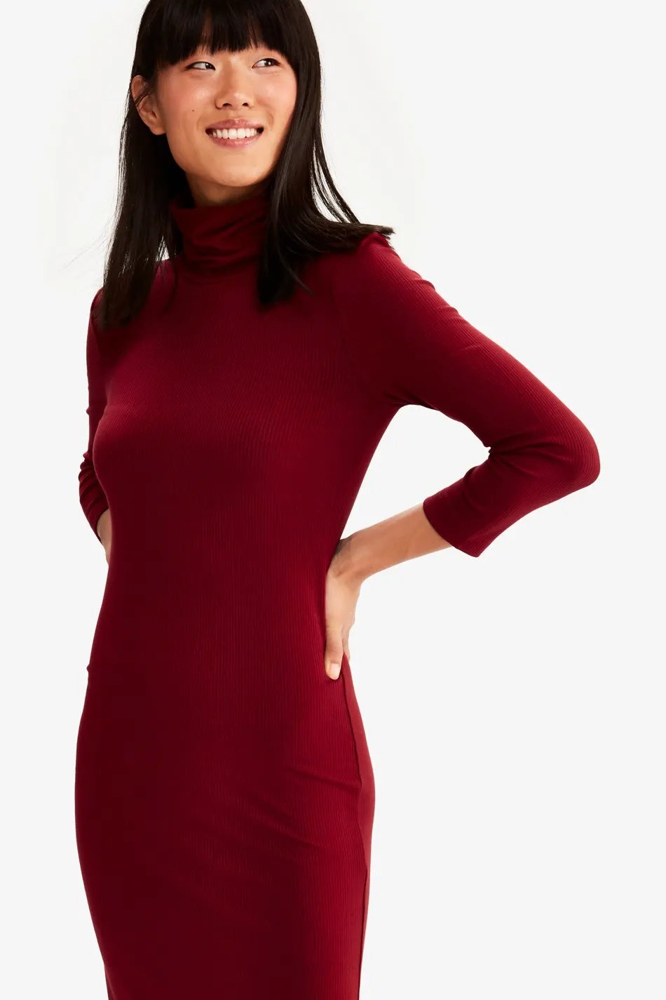 VILLERAY TURTLE NECK DRESS