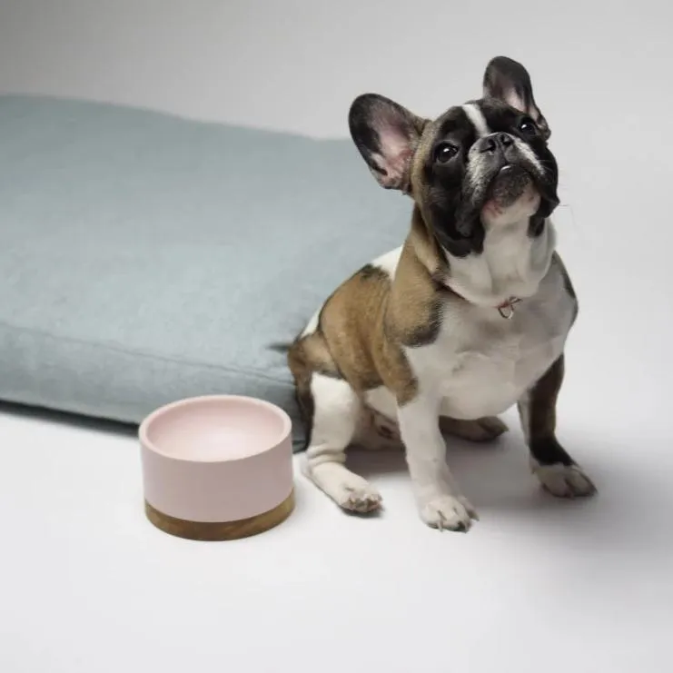 Vuku Single Buffet Luxury Dog Bowl by Labbvenn